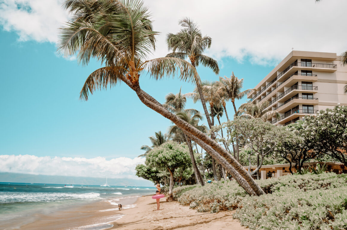 UN SOGNO CHIAMATO MAUI 🏝